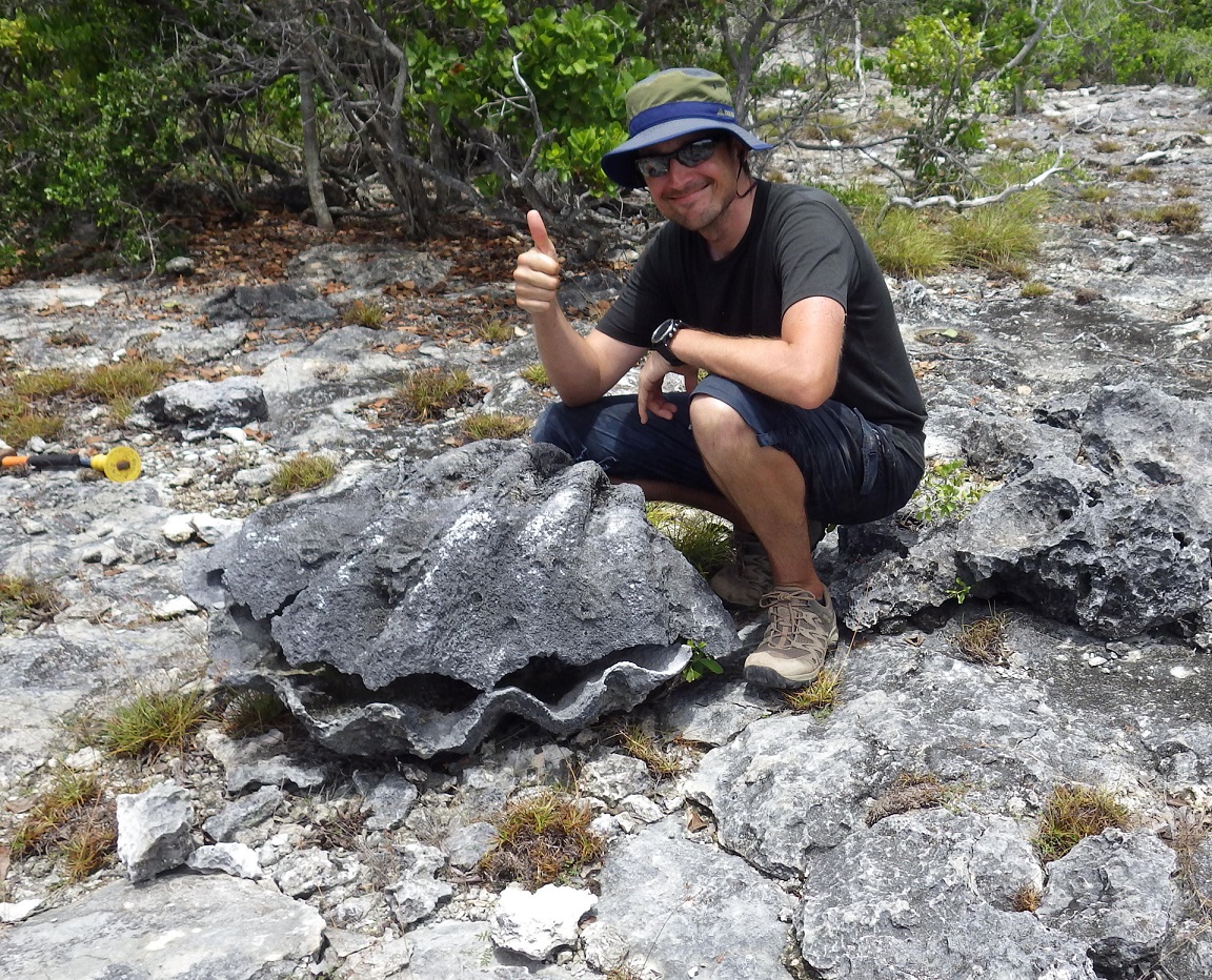 Aldabra_Tridacna