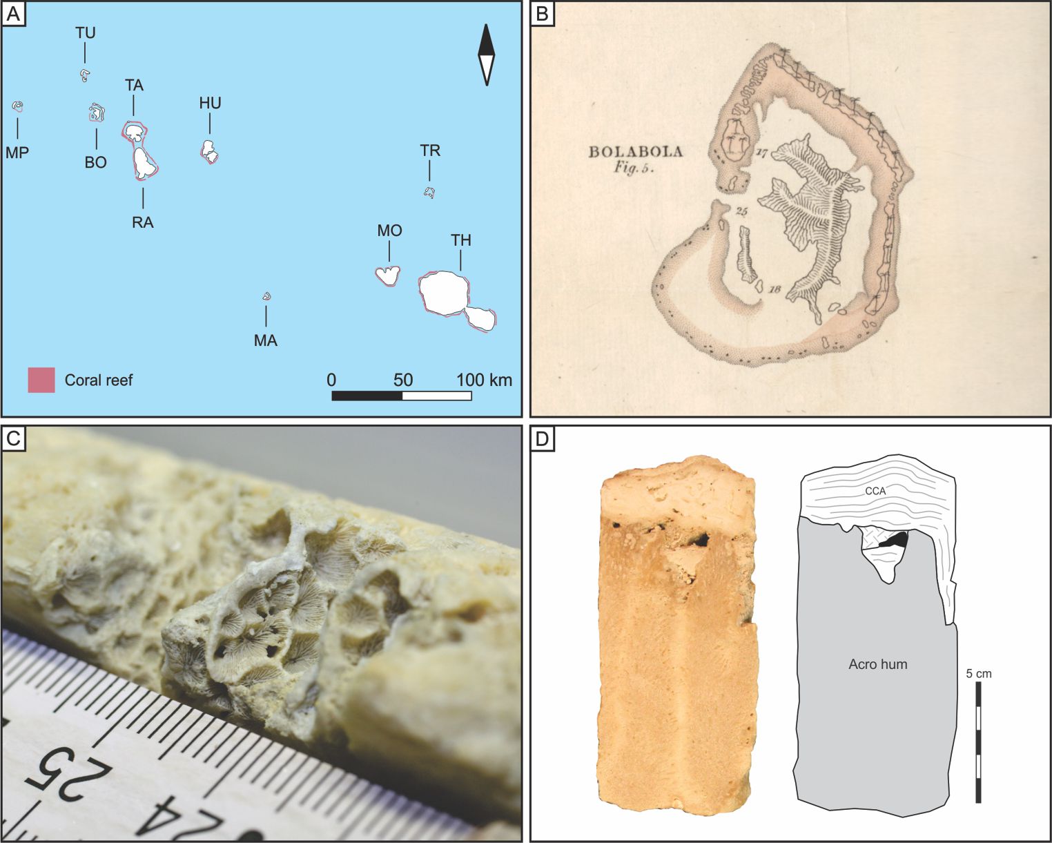Fig1_research