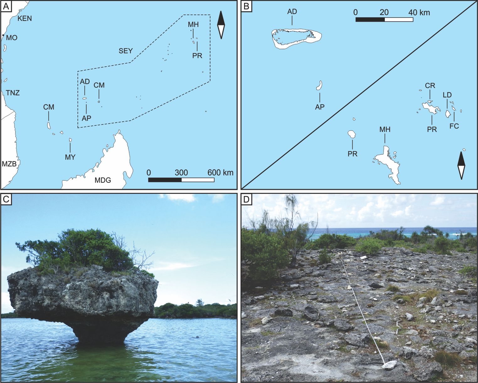 Fig4_research
