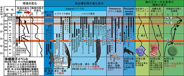 これまでの研究成果
