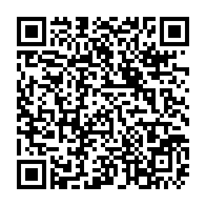 https://docs.google.com/forms/d/e/1FAIpQLSe-fA372ydnP0tasESCWyvzM6BqpyQcNjaCrh-U0vqQn0rXYw/viewform?usp=header