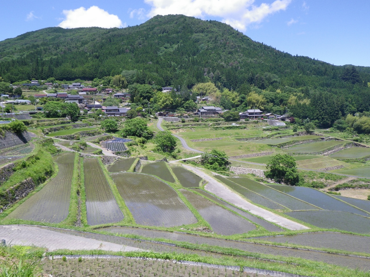 森林と里山