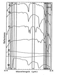 代表的な粘土鉱物、炭酸塩鉱物などの反射率パターン。