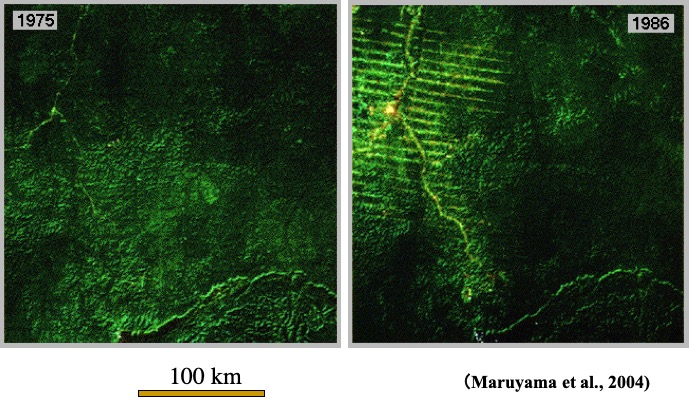人工衛星から見たアマゾンの熱帯雨林の減少