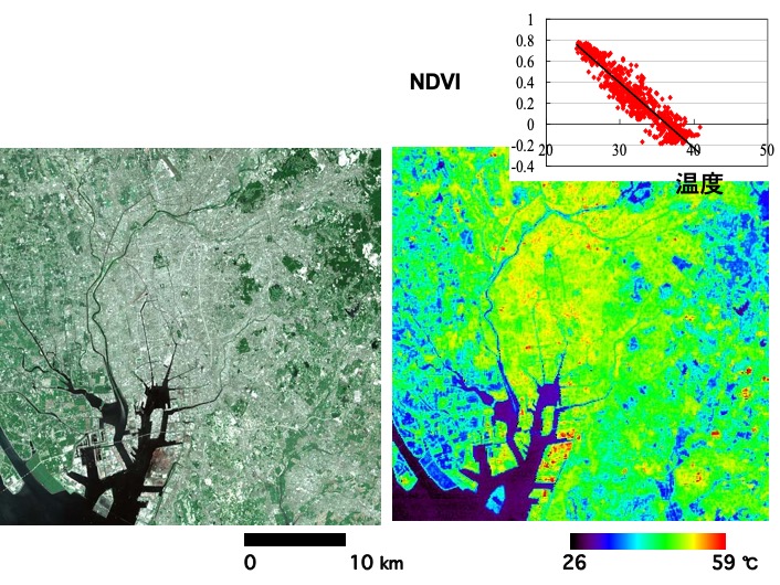 名古屋市の可視・近赤外画像と熱赤外域の温度画像の比較