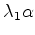 $\displaystyle \lambda_1\alpha$