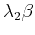 $\displaystyle \lambda_2\beta$