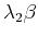 $\displaystyle \lambda_2\beta$